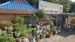 Sancheonchomok (산천초목) 1