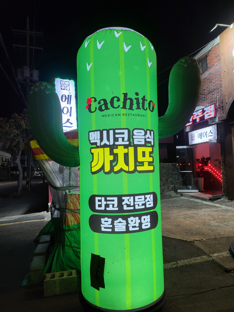 까치또 사진 3