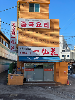일선화 사진 2