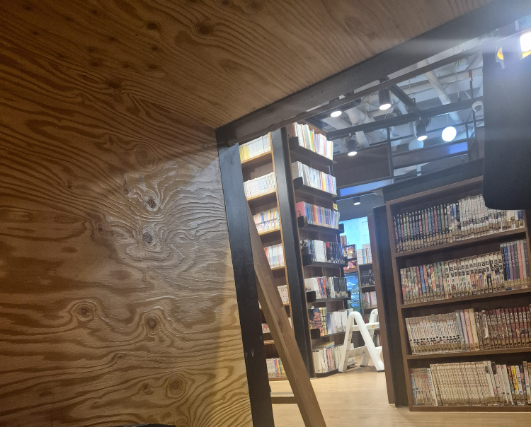 놀숲 강남교보타워점