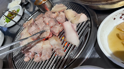 대평흑돼지 사진 5