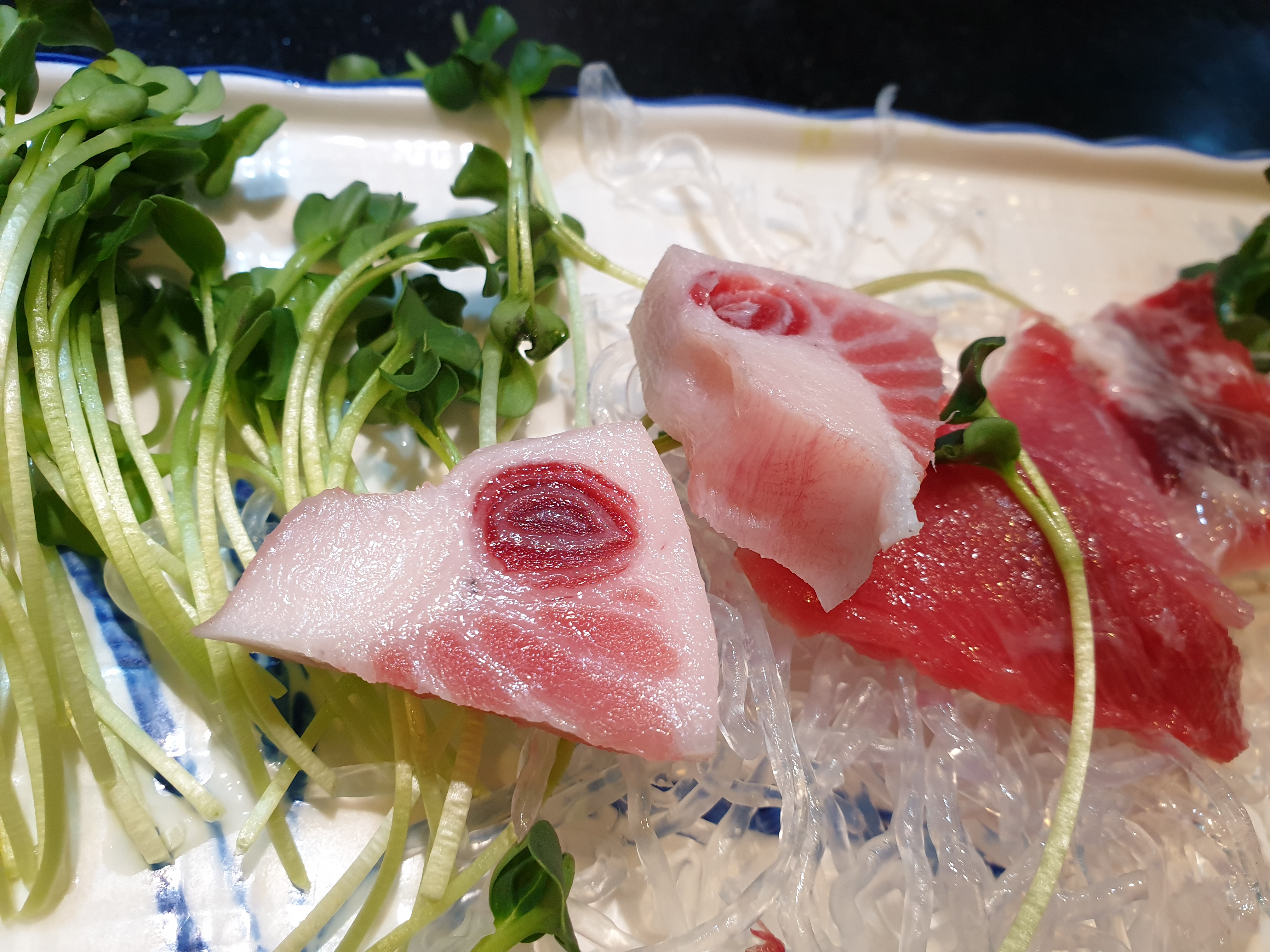 카리브참치 5