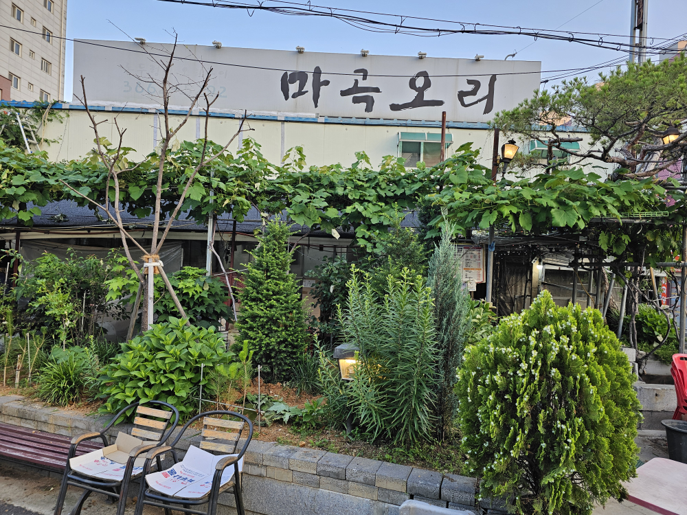 마곡오리 사진 2
