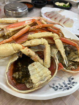 해양회대게센타 6