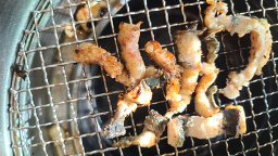 Seohaminmuljangeo (서하민물장어) 2