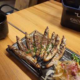 젊은소나무 사진 6