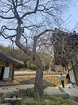 Dolmaesundubu (돌매순두부) 3