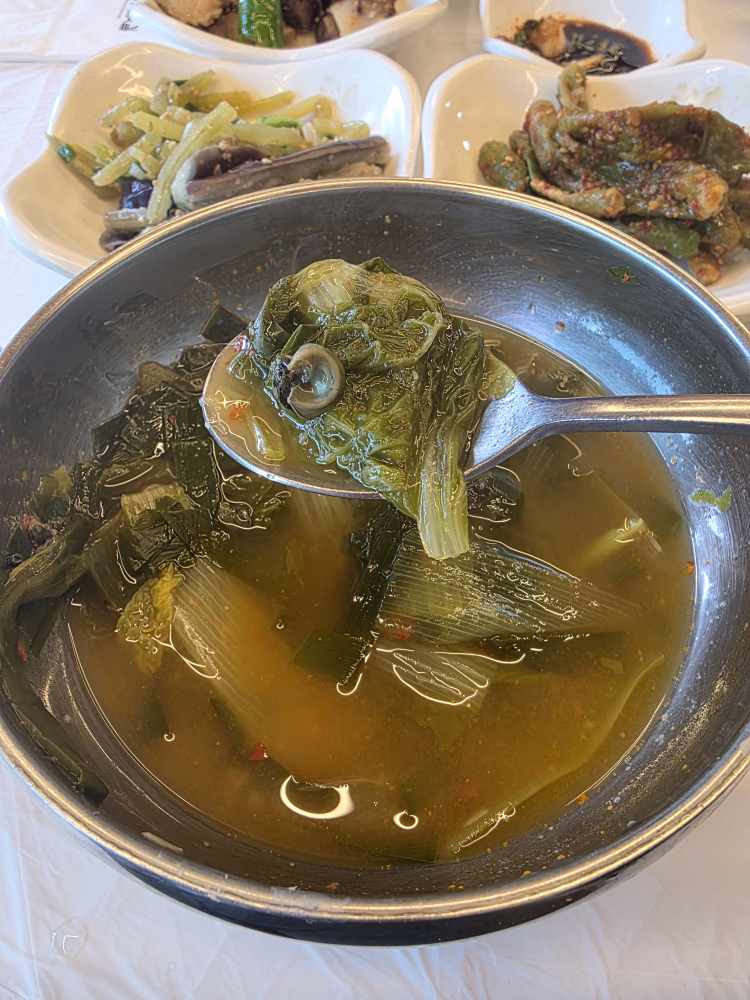 민들레 6