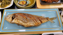 안트레정식 사진 2