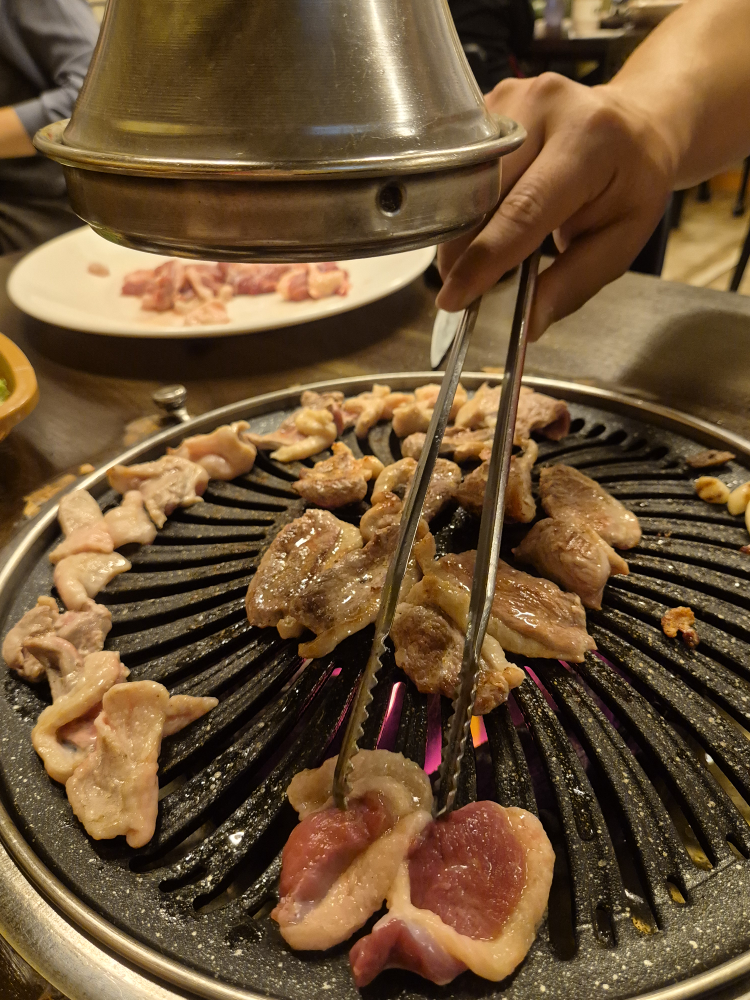 Nakdongsaengori (낙동생오리) 1