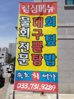 속초어가 6
