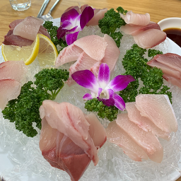 바다잔치 사진 2