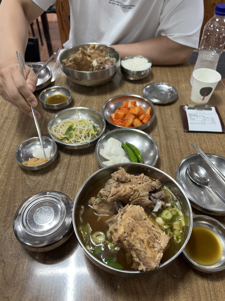해남 1