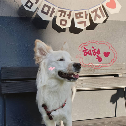 멍스토리