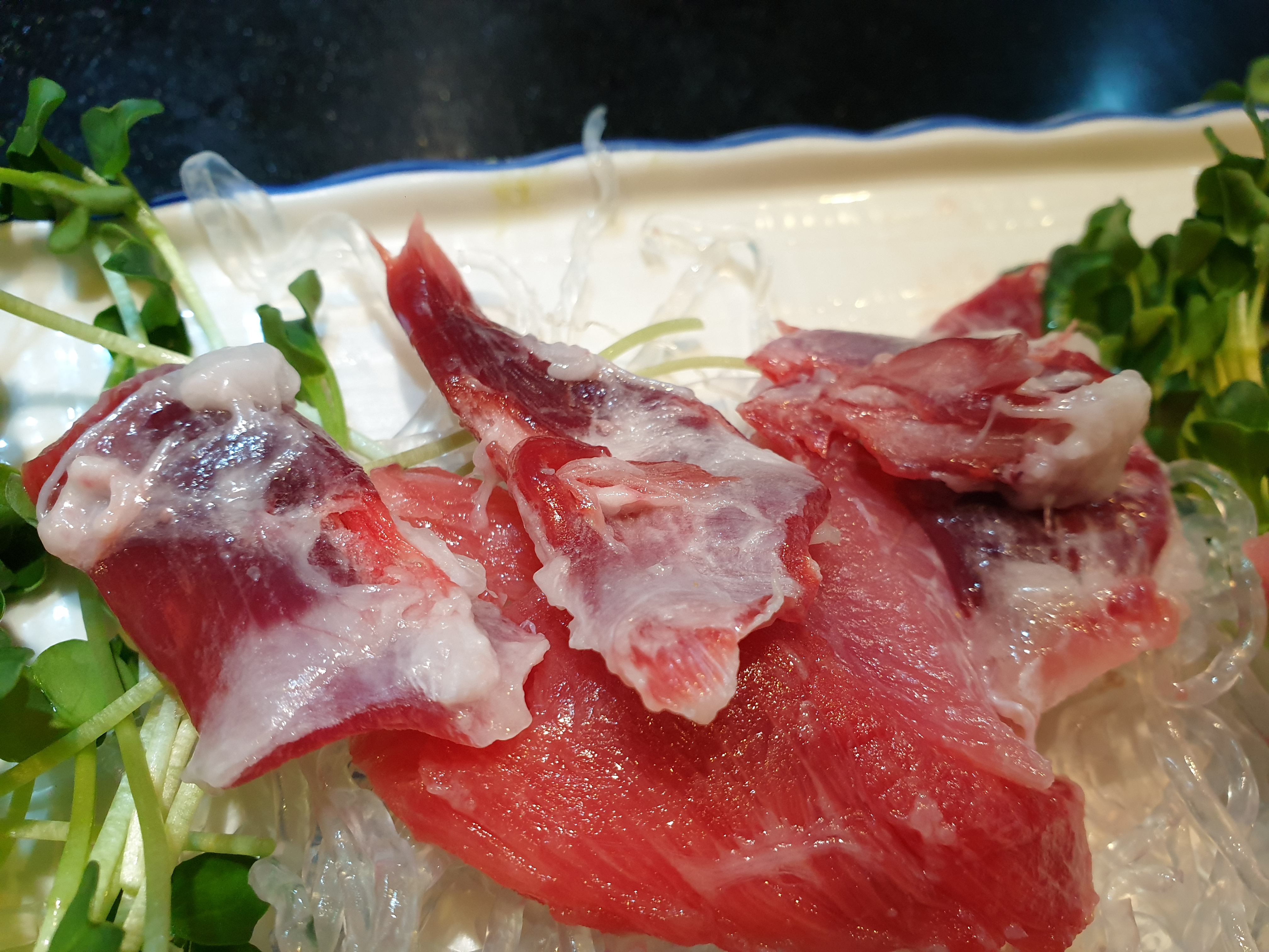 카리브참치 4