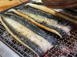 용장어 사진 3