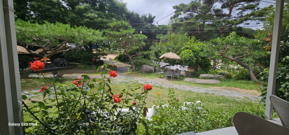 Kapesan elareuka 3