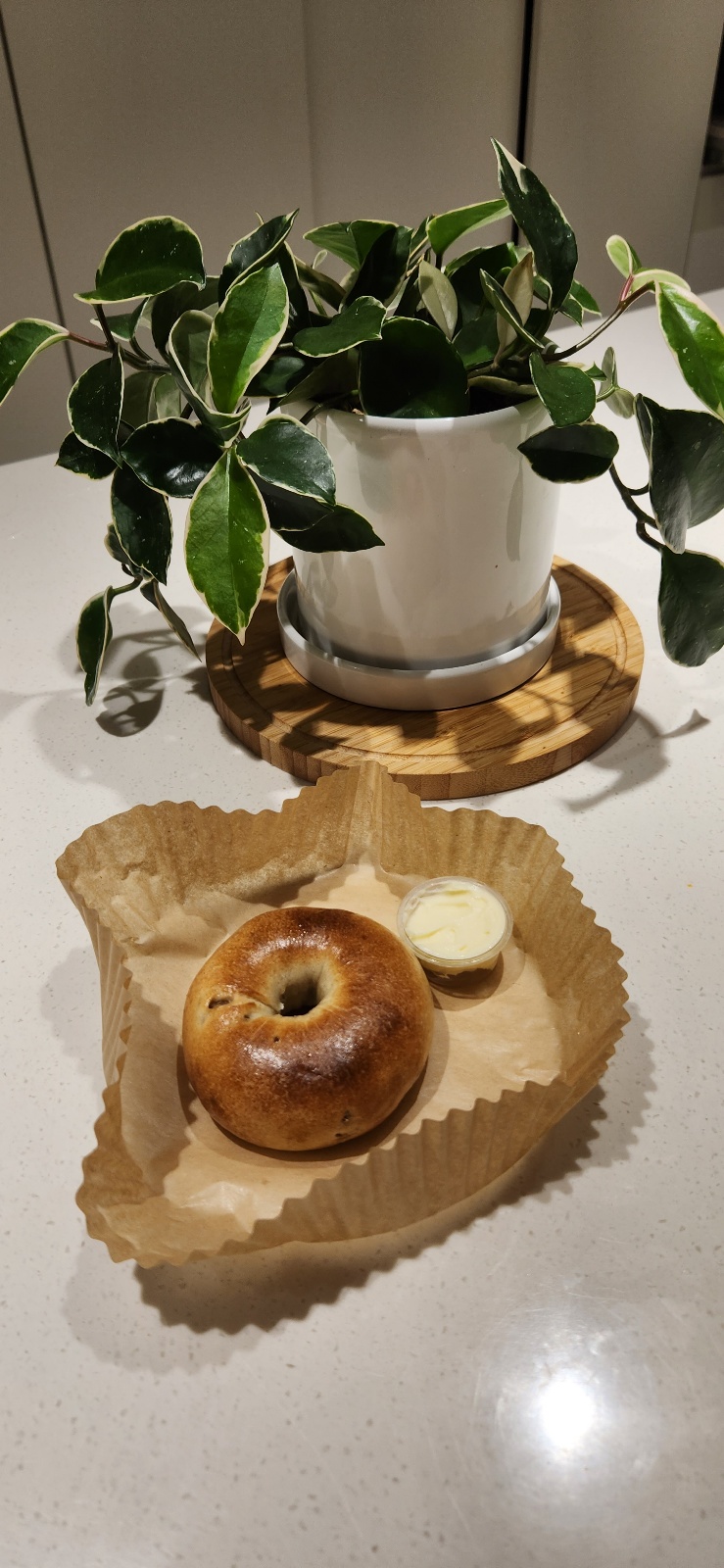 Bamburutteu (밤부루뜨) 3