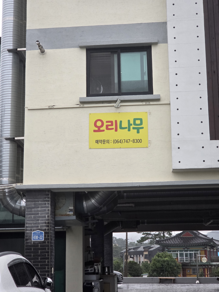 오리나무 대표 사진