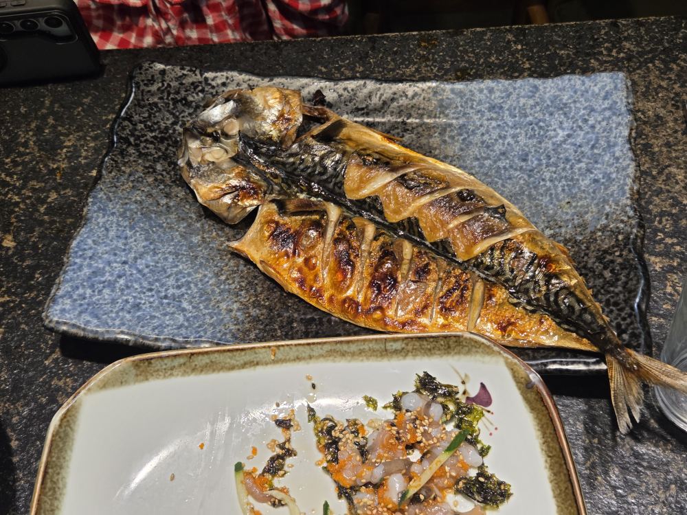 조우하다 사진 2