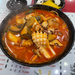 일선화 사진 4