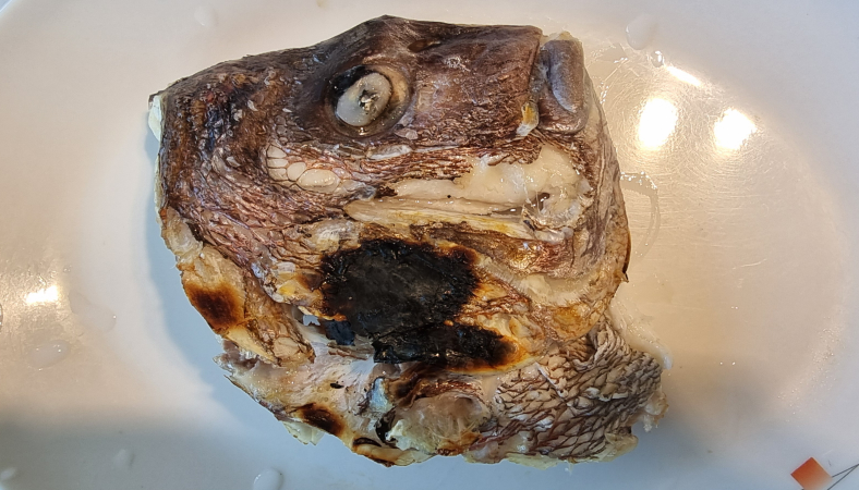 옹포바다횟집 사진 5
