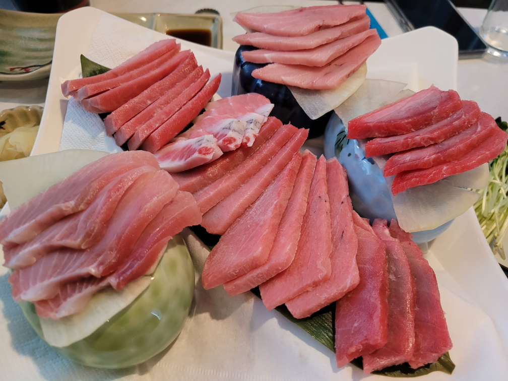 고레와참치 1