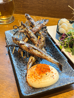 찌마찌마 사진 5