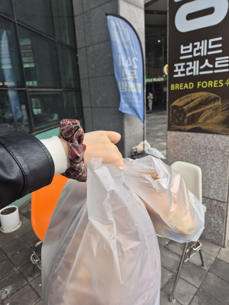브레드포레스트 6