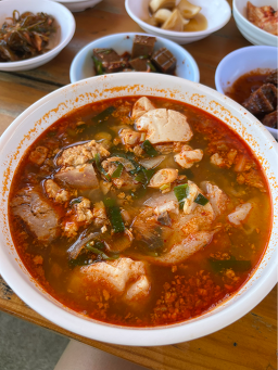 춘선네 9