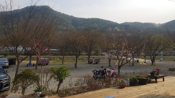 대가집 5