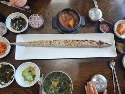 토끼와거북이 사진 4