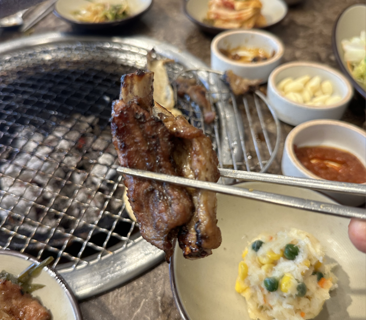 신촌새나리 6