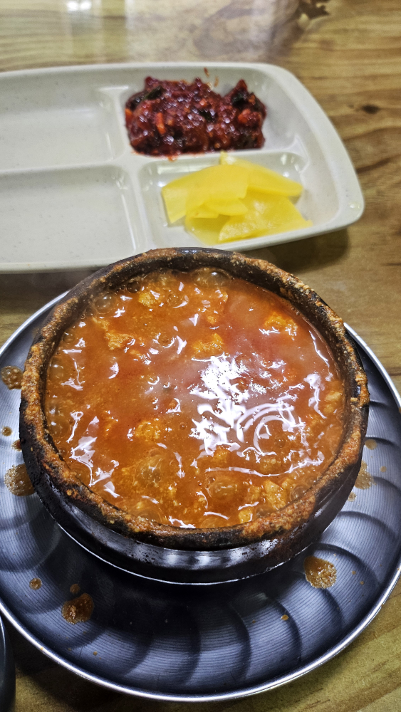 북교해바라기 사진 6