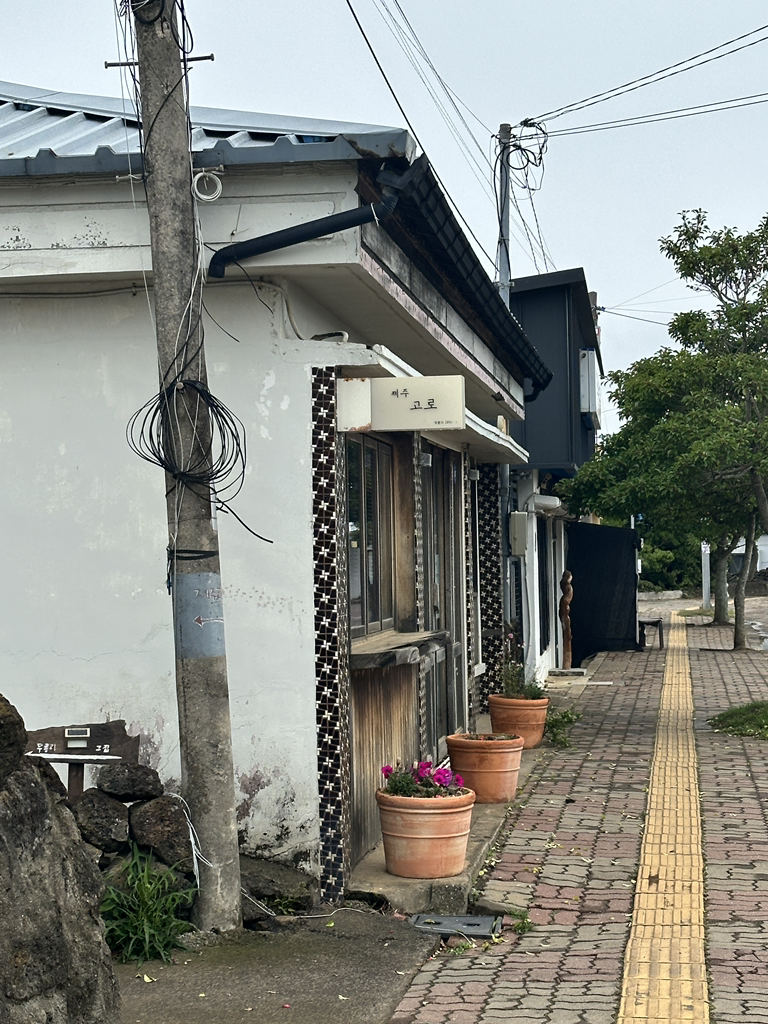 제주고로 대표 사진