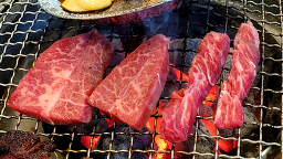 하누랑돈이랑 8