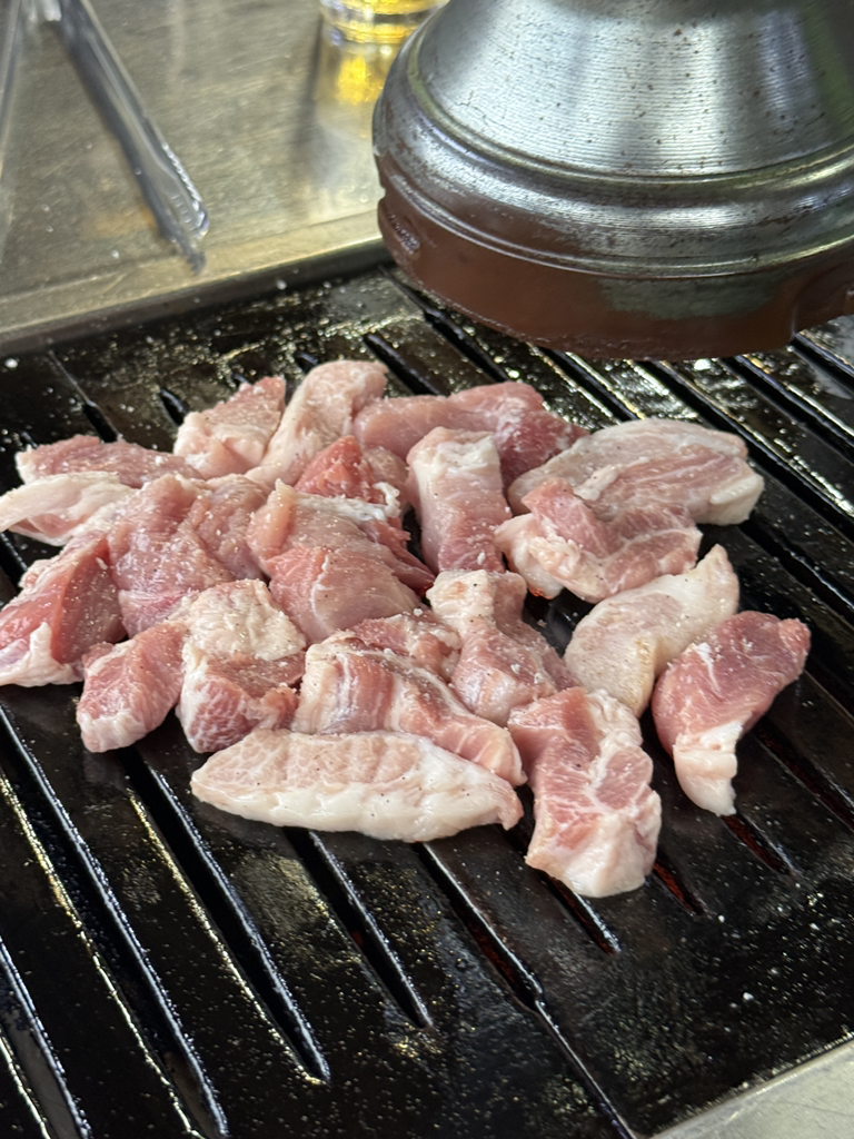 고바우덩어리생고기 4