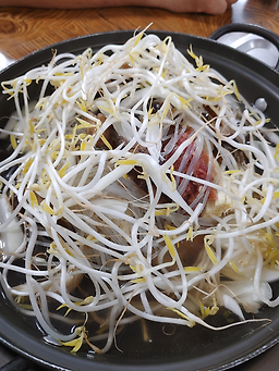 Sanhagadeun (산하가든) 2