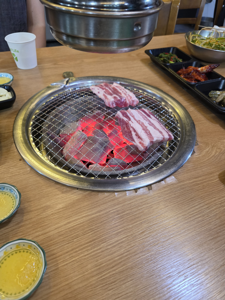 고기어때 사진 3