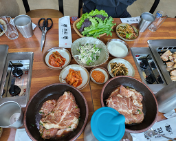 초원흑돼지 사진 2