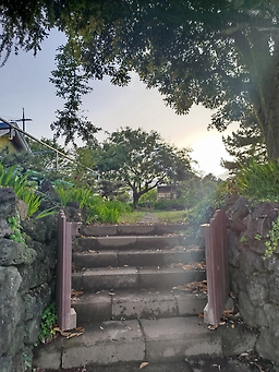 광주한식 사진 7