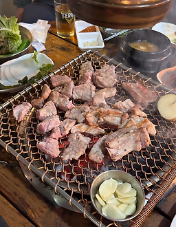 참나무 5