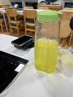 보성아라낙지 6