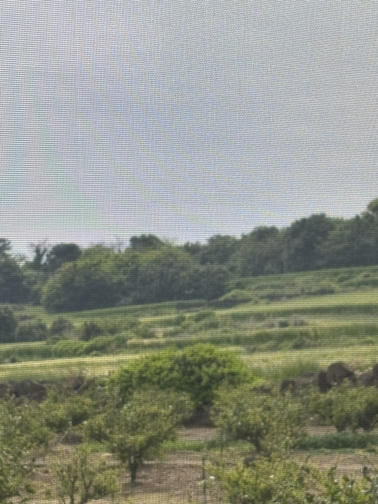 무뚱 사진 2