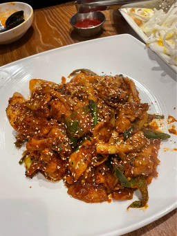 봄이 사진 5
