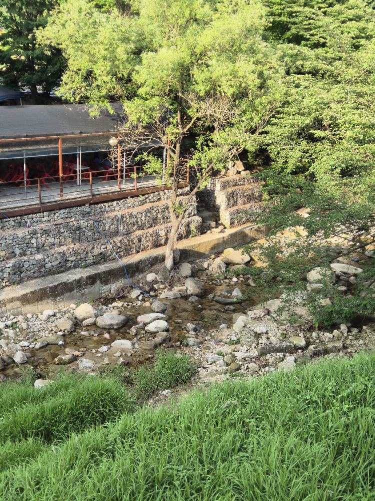 Jeonjusikdang (전주식당) 1
