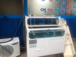 순천만횟집 2