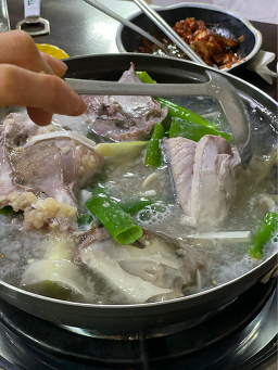 억조 사진 3