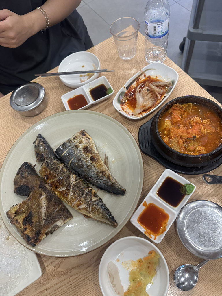 어다미 사진 2