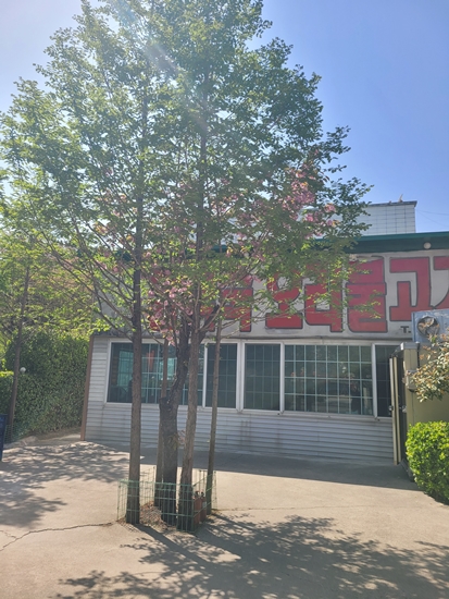 도토리마을 4